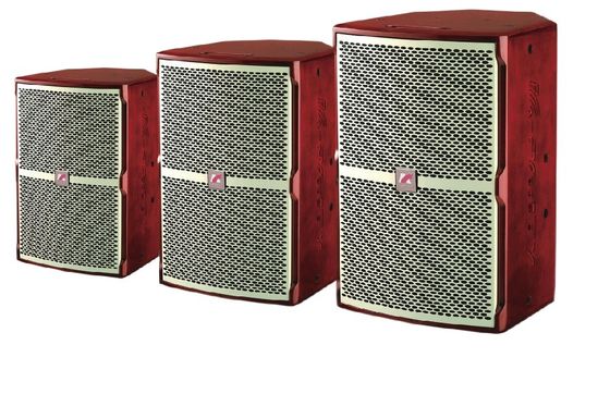 Ultra Strong Low Frequency KF Series KTV altoparlante 45Hz-20KHz 250W 300W 400W Vario suono complesso